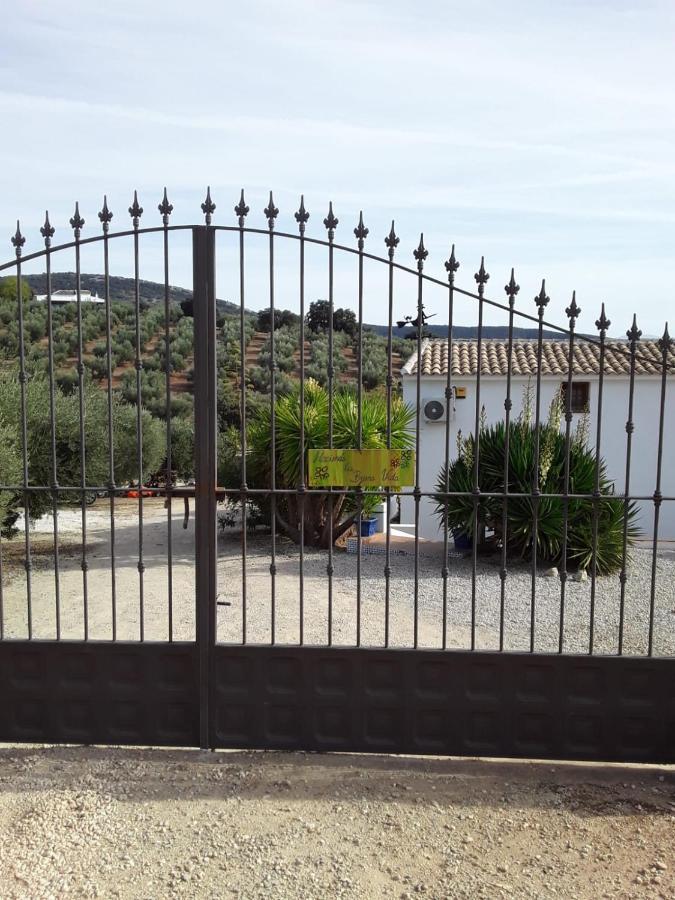 Hacienda La Buena Vida B&B En Appartementen Альгаринехо Экстерьер фото